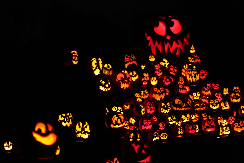 Dozens of jack-o-lanterns of varying sizes
