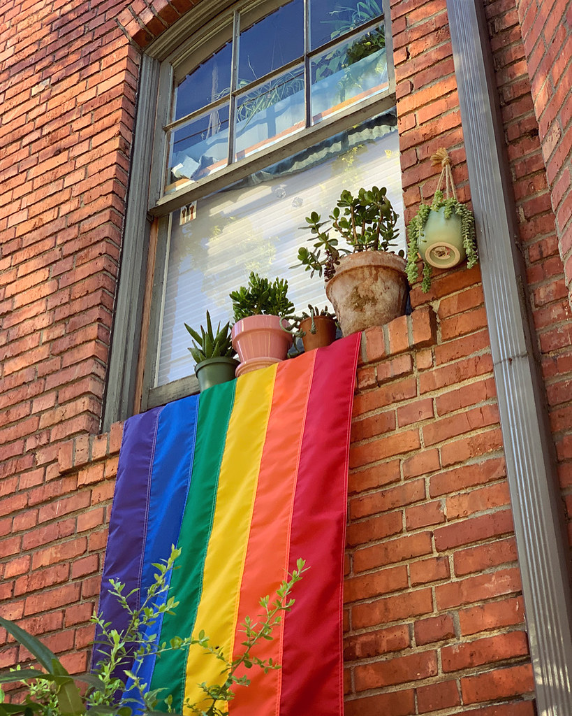Rainbow flag against a brick wall below a window with plants on the sill