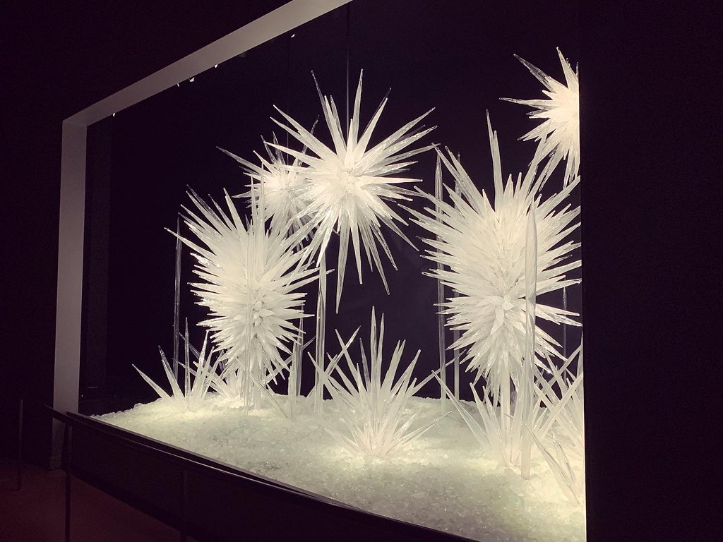 Beautiful display of white spiky glass creations at the Chihuly museum