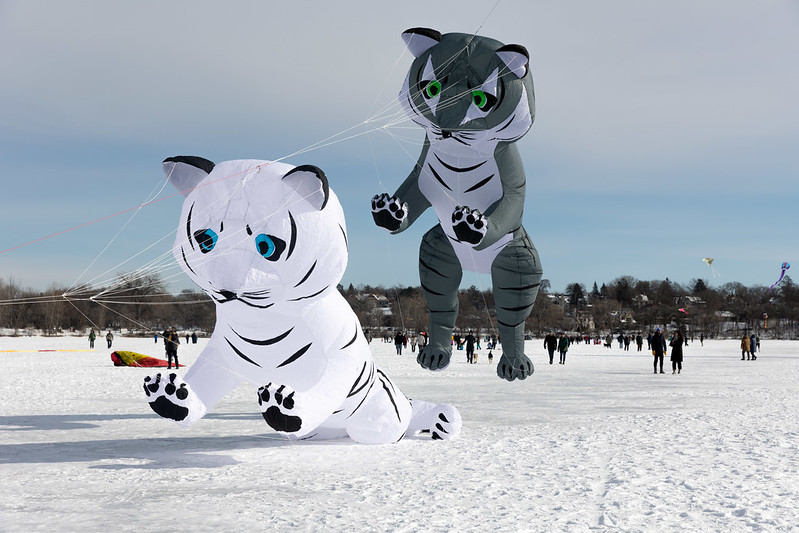 Two giant cat kites, one in white the other in gray, floating above a frozen lake